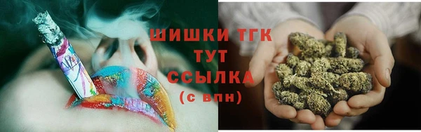 гидропоника Медногорск
