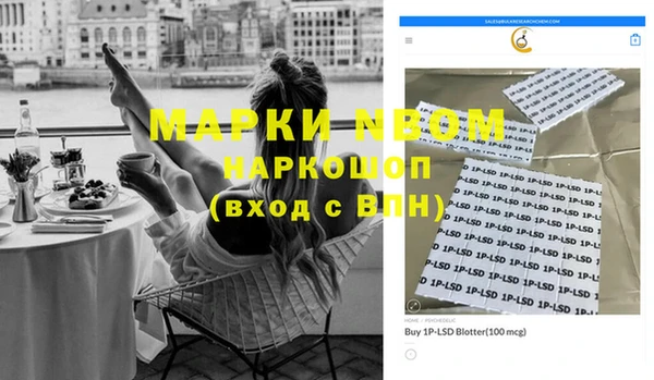 PSILOCYBIN Медвежьегорск